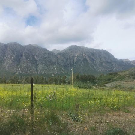 Villa Localita Zarvenu Siniscola Esterno foto