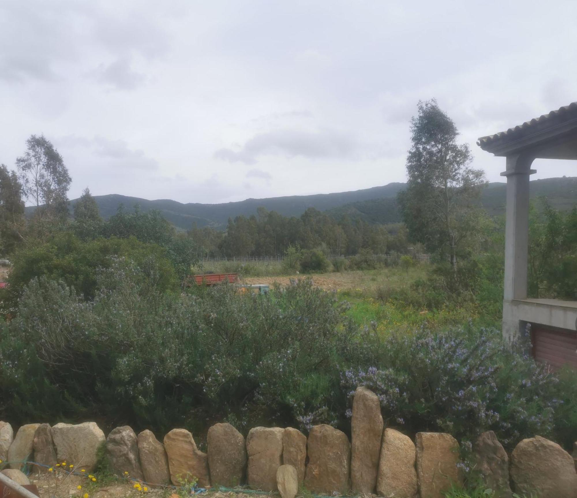 Villa Localita Zarvenu Siniscola Esterno foto